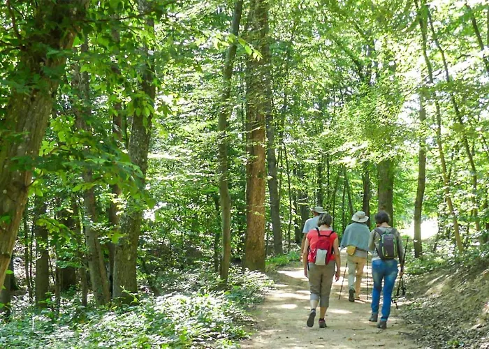 Nice Apartment In Pradelles With Wifi Pradelles